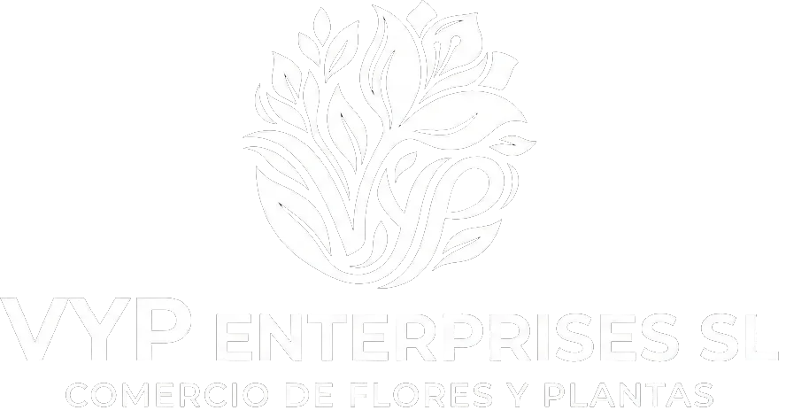 logo de website